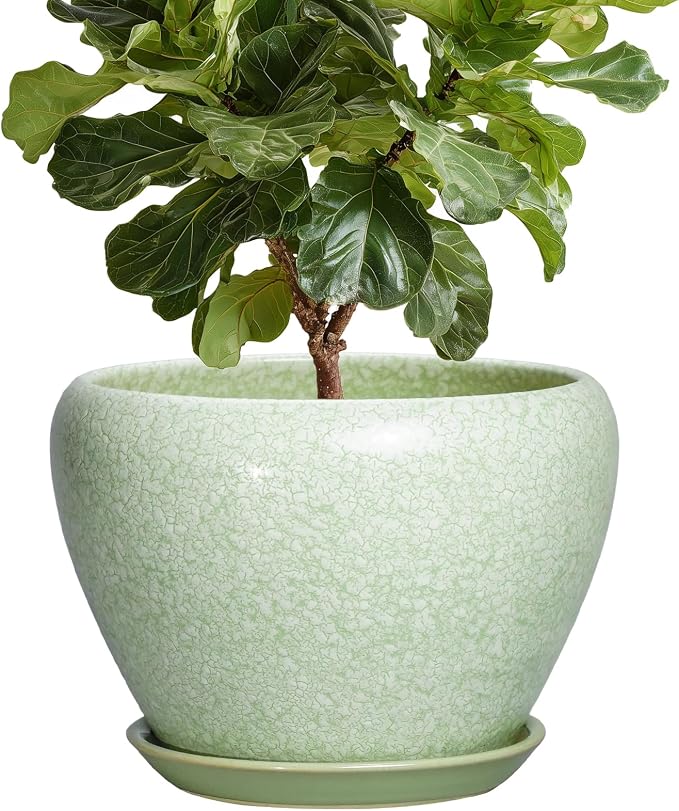 10 Inch Planter, Ceramic Plant Pots, Crackle Light Green | Indoor Pots for Plants with Drainage Hole and Saucer, Round Planter for Indoor Plants, Room Decor, Gifts for Plant Lovers