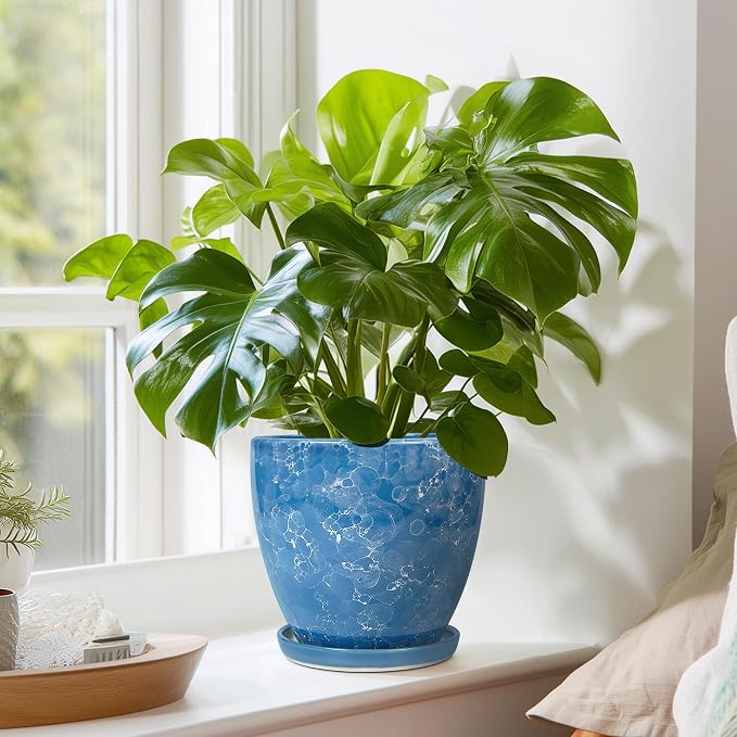 6 Inch Ceramic Plant Pot - Ceramic Planters Indoor, Blue | Round Decorative Planter with Drainage Hole and Saucer, Modern Planters, Desk Office Decor, Housewarming Gifts