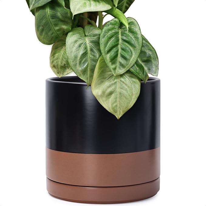 D'vine Dev 12 Inch Ceramic Planter Pot, Black/Tan, 94-O-F-7 | Modern Cylinder Design, Drainage Hole & Saucer Included, Stable Structure, Elegant Home Accent
