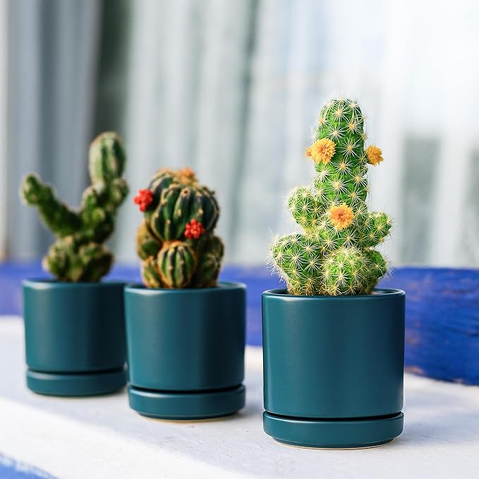 D'vine Dev 3.5 Inch Ceramic Planter Pot, Teal, 94-O-A-9 | Modern Cylinder Design, Drainage Hole & Saucer Included, Stable Structure, Elegant Home Accent