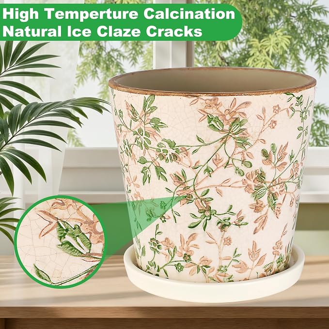 Ceramic Flower Pots for Indoor Plant with Drainage Hole & Saucer