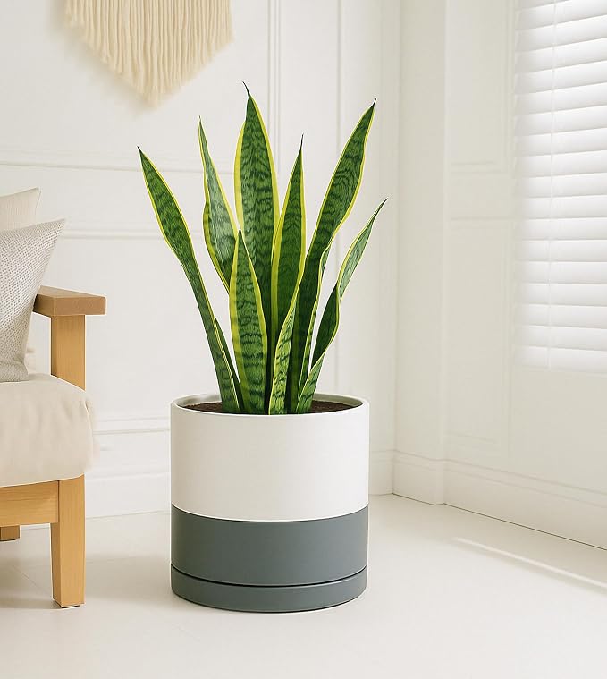 D'vine Dev 12 Inch Ceramic Planter Pot, White/Grey, 94-O-F-6 | Modern Cylinder Design, Drainage Hole & Saucer Included, Stable Structure, Elegant Home Accent