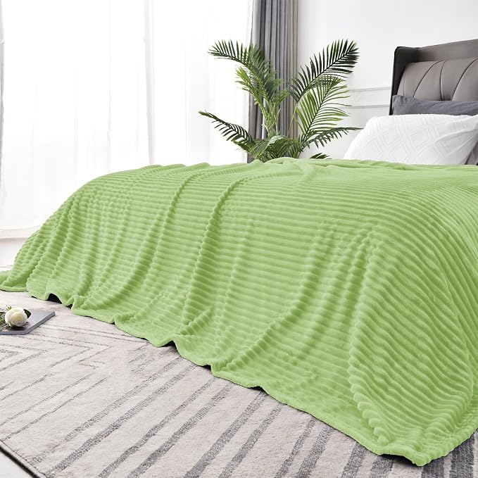 BEDELITE 3D Ribbed Jacquard Green Blankets Queen Size for Bed, 90x90 Inch | Soft Warm Decorative Fluffy Blanket, Cozy Fuzzy Lightweight Plush Fleece Throw Blankets for Bed, Room Decor, Gift for Women