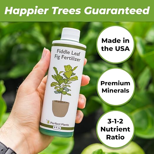 Perfect Plants Fiddle Leaf Fig Fertilizer, 8 oz, Liquid Ficus Food