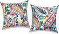 Outdoor Pillow Covers for Patio Furniture 20x20 Inch, Decorative Patio Throw Pillow Covers Set of 2, Modern Square Cushion Cases for Porch Garden Home Office, Vigour Paisley