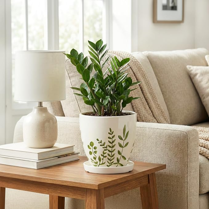 MPotTo Ceramic Pots for Plants - 6 Inch Plant Pot for Indoor Outdoor Plants, Ceramic Planter with Drainage Hole and Saucer, Decorative Round Planter, Gifts for Plant Lovers, Home Room Decor, White