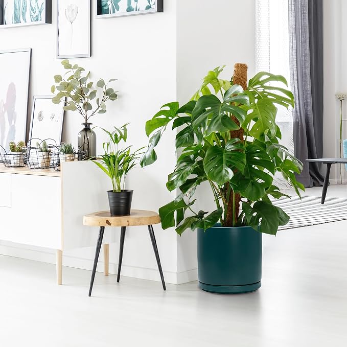D'vine Dev 10 Inch Ceramic Planter Pot, Teal, 94-O-E-9 | Modern Cylinder Design, Drainage Hole & Saucer Included, Stable Structure, Elegant Home Accent