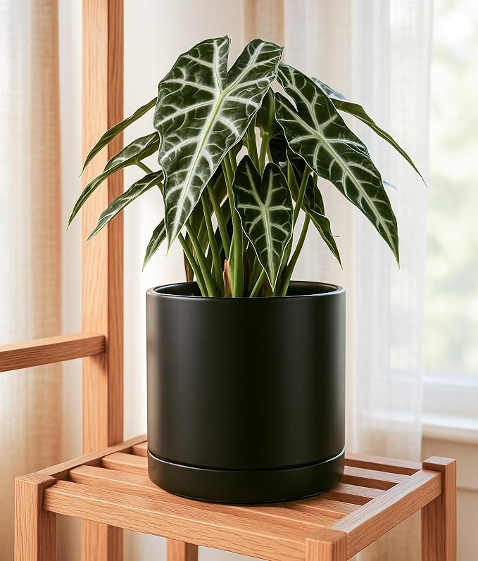 D'vine Dev 10 Inch Ceramic Planter Pot, Black, 94-O-E-2 | Modern Cylinder Design, Drainage Hole & Saucer Included, Stable Structure, Elegant Home Accent