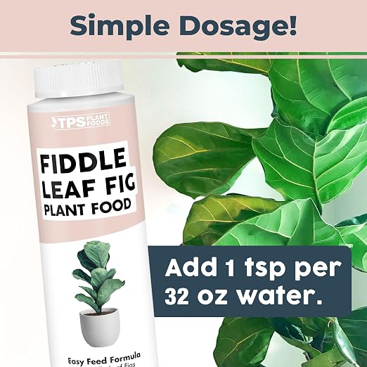 Fiddle Leaf Fig Fertilizer, Liquid Plant Food for Bigger Leaves, 8oz