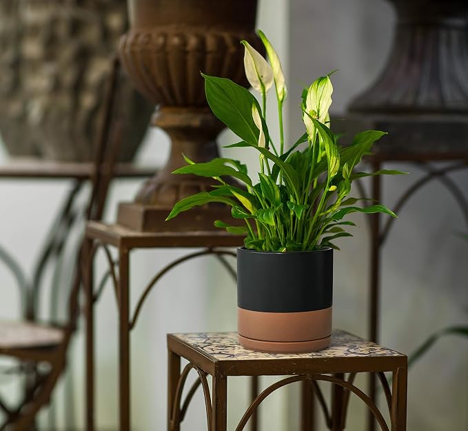 D'vine Dev 8 Inch Ceramic Planter Pot, Black/Tan, 94-O-D-7 | Modern Cylinder Design, Drainage Hole & Saucer Included, Stable Structure, Elegant Home Accent