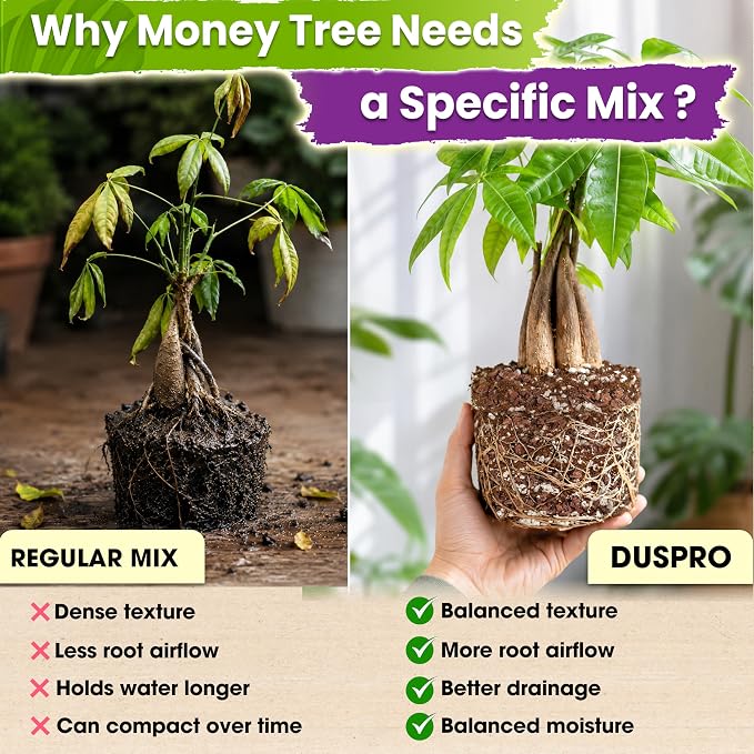 DUSPRO Money Tree Soil Indoor, 3-in-1 Pre-Mixed & Ready to Use, 4 Quarts