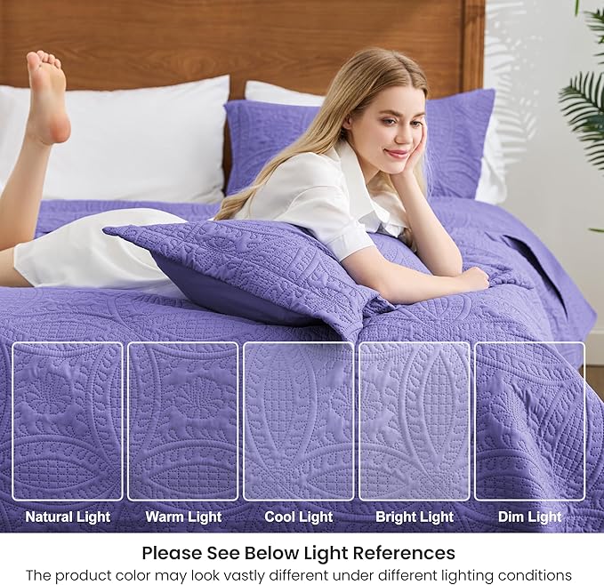 Love's cabin Quilts for Queen Bed Deep Purple Bedspreads Bedding Set - Summer Lightweight Bedspread Comforter - Coin Pattern Bedding Coverlet for All Season - 3 Pieces (1 Quilt, 2 Pillow Shams)