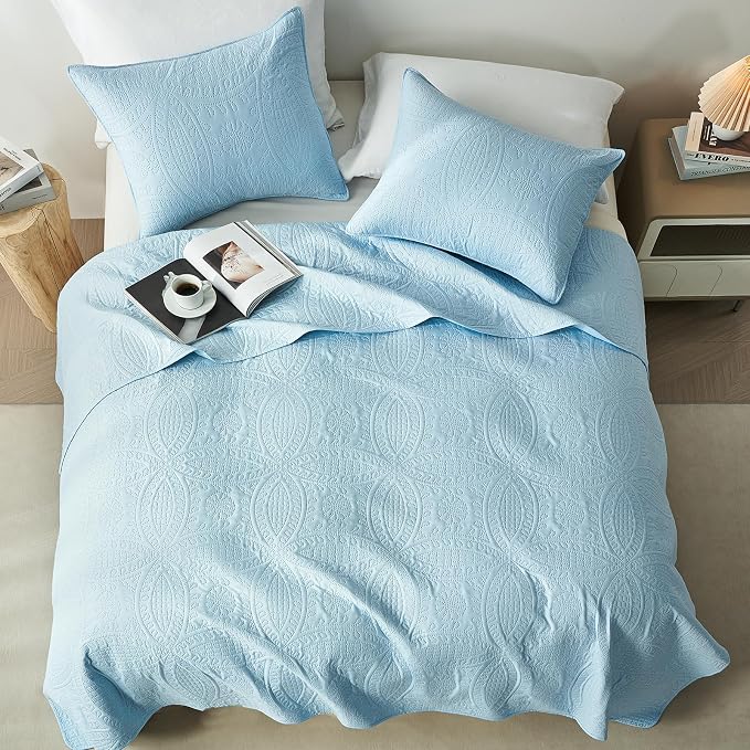 akkialla Queen Quilt Bedding Set,Sky Blue Ultrasonic Full/Queen Quilt Set,Lightweight Soft Bedspread Coverlet,Modern Style Coin Pattern Bed Cover for All Seasons,3 Piece(1 Quilt,2 Pillow Shams)