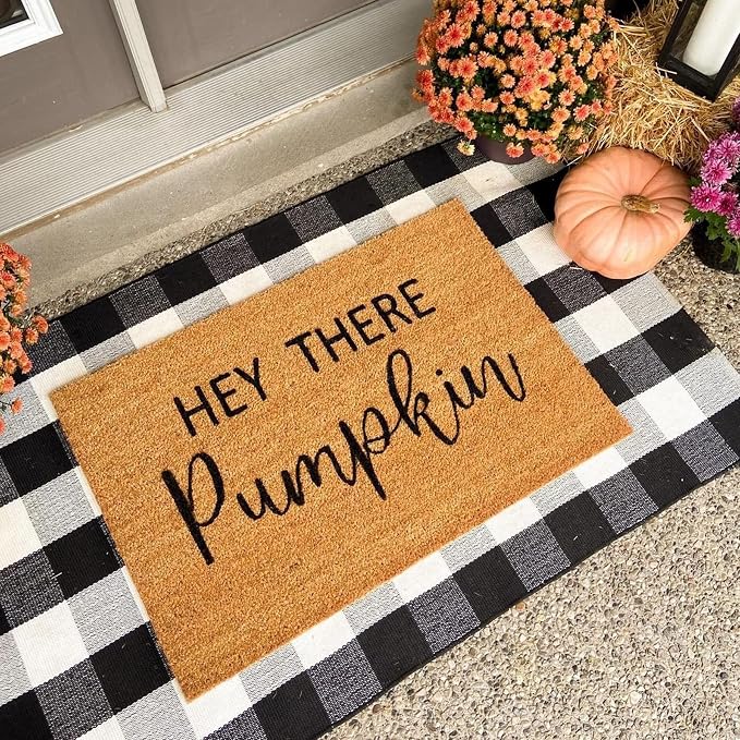 SEEKSEE Buffalo Plaid Outdoor Rug 3' x 5' Black and White Front Door Mat, Layering Rug for Porch, Washable Doormat, Cotton Area Rug for Outdoor Entrance Entryway Patio Porch Decor