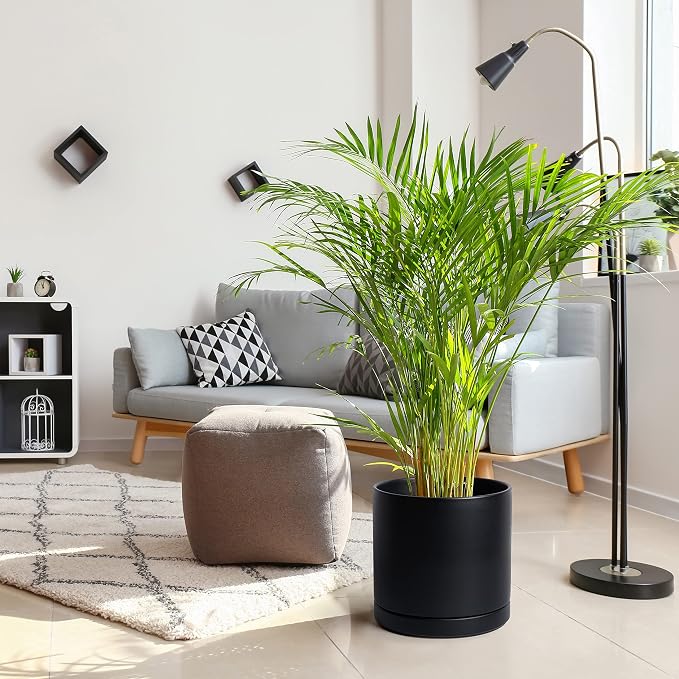 D'vine Dev 12 Inch Ceramic Planter Pot, Black, 94-O-F-2 | Modern Cylinder Design, Drainage Hole & Saucer Included, Stable Structure, Elegant Home Accent
