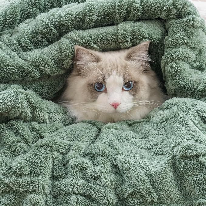 EverGrace Jacquard Reversible Sherpa Throw Blanket, 50" x 60", Sage Green | Jacquard Sherpa Throw Blanket, Super Soft, Cozy Plush Blanket, Reversible Thick Warm Throw for Bed, Sofa, Living Room