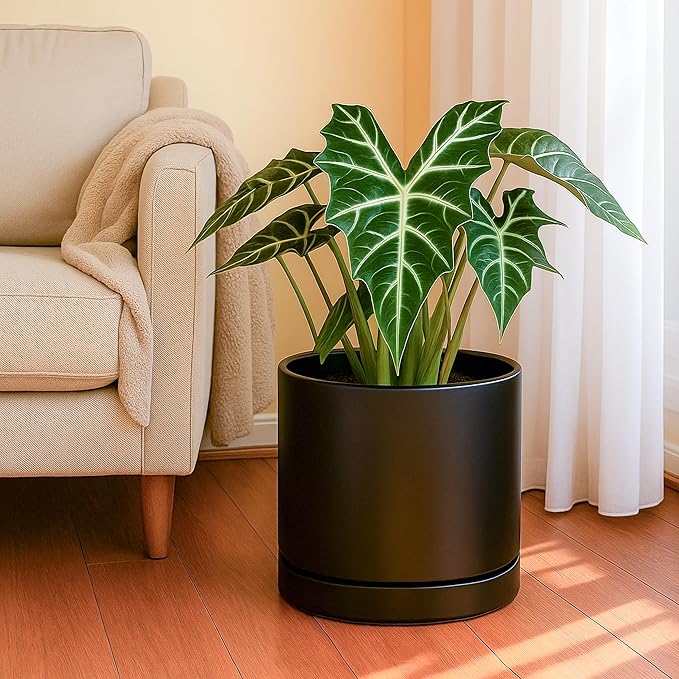 D'vine Dev 10 Inch Ceramic Planter Pot, Black, 94-O-E-2 | Modern Cylinder Design, Drainage Hole & Saucer Included, Stable Structure, Elegant Home Accent