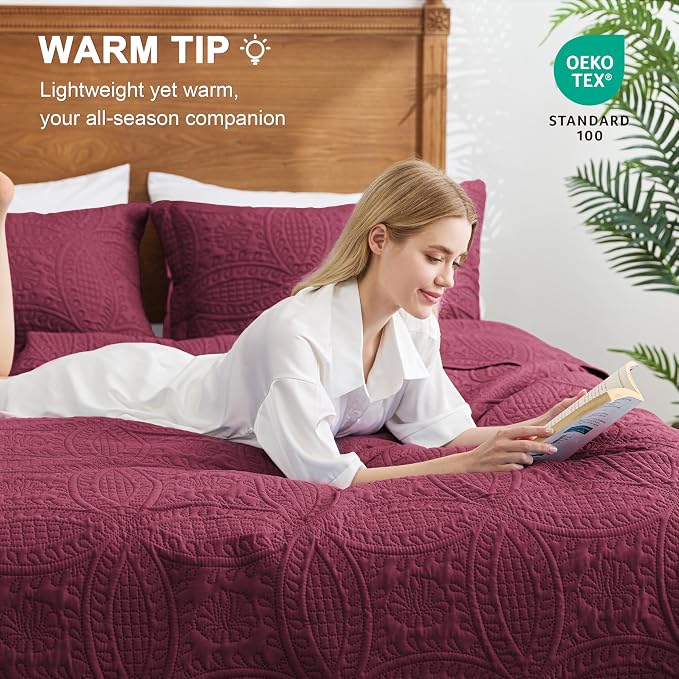 Love's cabin Quilts for Queen Bed Burgundy Bedspreads Bedding Set - Lightweight Bedspread Comforter - Coin Pattern Bedding Coverlet for All Season - 3 Pieces (1 Quilt, 2 Pillow Shams)