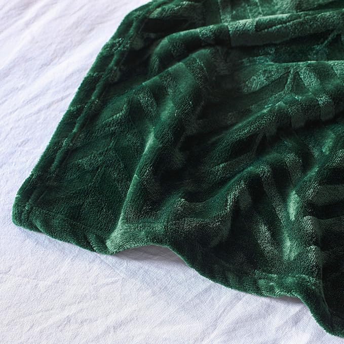 Whale Flotilla Flannel Fleece Bed Blanket Queen Size, Emerald Green | Lightweight Breathable Soft Bedspread, Plush Fluffy Coverlet Chevron Design Decorative Blanket for All Season, 90x90 Inch