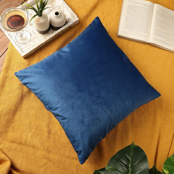 RELY+ Pack of 2 Throw Pillow Covers 18x18 Inch Velvet Soft Cozy Solid Decoration Gifts Pillow Covers Luxury Cushion Case for Sofa Couch Bedroom Living Room (Blue, 18 X 18)