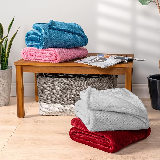PAVILIA Light Gray Fleece Throw Blanket for Couch Sofa Bed, Soft Fuzzy Waffle Jacquard Microfiber, Warm Lightweight Fade-Resistant Decorative All Season Throw, 50x60
