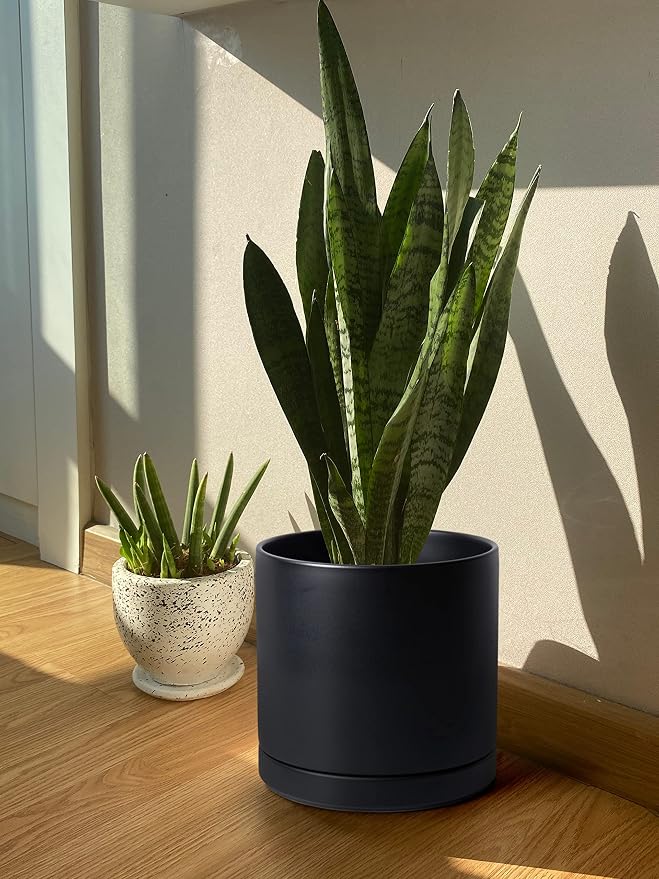 D'vine Dev 12 Inch Ceramic Planter Pot, Black, 94-O-F-2 | Modern Cylinder Design, Drainage Hole & Saucer Included, Stable Structure, Elegant Home Accent