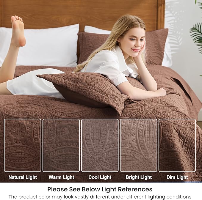 Love's cabin Quilts for Queen Bed Brown Bedspreads Bedding Set - Lightweight Bedspread Comforter - Coin Pattern Bedding Coverlet for All Season - 3 Pieces (1 Quilt, 2 Pillow Shams)