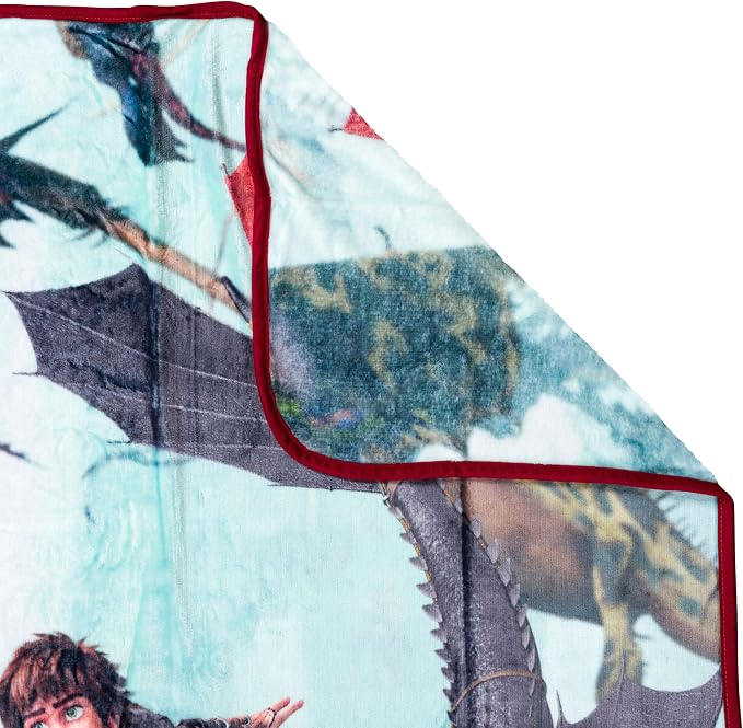 Silver Buffalo How to Train Your Dragon, Fleece Throw Blanket, 45x60in | Plush, Hiccup and Night Fury