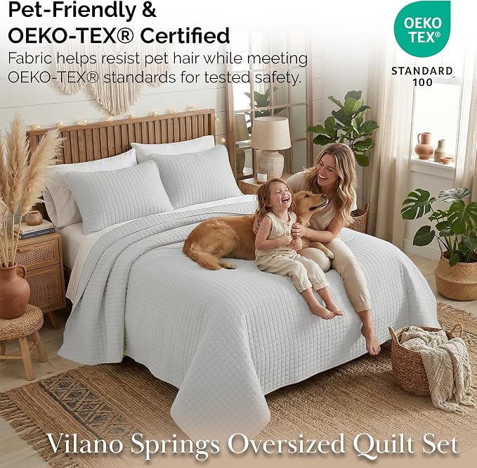 Southshore Fine Living, Inc. Queen Quilt Set, Full Size Bedspread with 2 Matching Pillow Shams, Soft Microfiber Lightweight Quilts, Queen Size Coverlet, Easy Care Quilted Bedding, Light Grey Quilt
