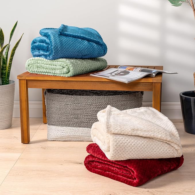 PAVILIA Sage Green Fleece Throw Blanket for Couch Sofa Bed, Soft Fuzzy Waffle Jacquard Microfiber, Warm Lightweight Fade-Resistant Decorative All Season Throw, 60x80 Twin
