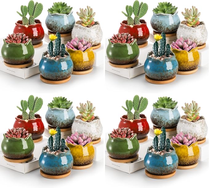 TOPZEA Set of 6 Succulent Plant Pots, 4 Inch Glazed Ceramic Pots with Drainage and Saucer, Mini Bonsai Planter Small Flower Pots for Indoor Outdoor Use (Pack of 4)