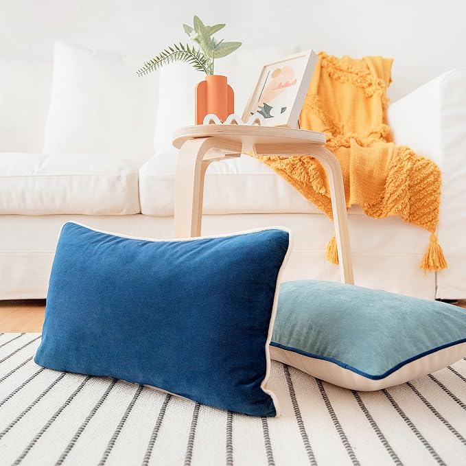 MONDAY MOOSE Decorative Throw Pillow Covers Cushion Cases, Set of 2 Soft Velvet Modern Double-Sided Designs, Mix and Match for Home Decor, Pillow Inserts Not Included (12x20 inch, Blue/Beige)