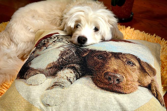 Tache Christmas Throw Pillow Cover - 1 Piece Vintage Tabby Cat Labrador Retriever Dog in Santa Hat Christmas Companions Holiday Festive Decorative Square Couch Tapestry Cushion Covers