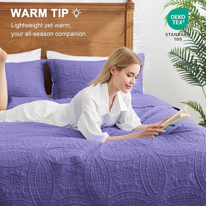 Love's cabin Quilts for Queen Bed Deep Purple Bedspreads Bedding Set - Summer Lightweight Bedspread Comforter - Coin Pattern Bedding Coverlet for All Season - 3 Pieces (1 Quilt, 2 Pillow Shams)