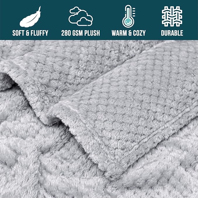 PAVILIA Light Gray Fleece Throw Blanket for Couch Sofa Bed, Soft Fuzzy Waffle Jacquard Microfiber, Warm Lightweight Fade-Resistant Decorative All Season Throw, 60x80 Twin