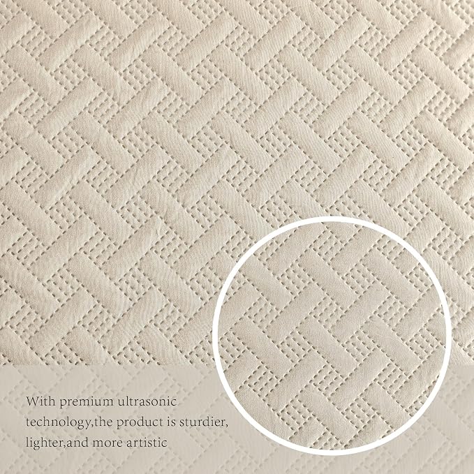 FLYMME Queen Quilt Bedding Set Beige Lightweight Bedspreads Full Size,Soft Microfiber Bed Coverlet for All Season (1 Quilt, 2 Shams)