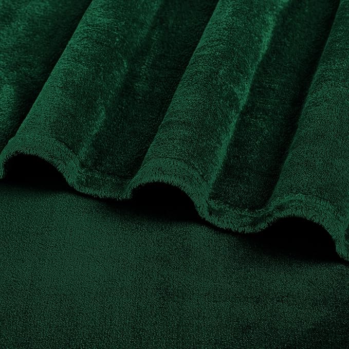 PAVILIA Fleece Blanket Queen Size | Super Soft, Plush, Luxury Flannel Throw | Lightweight Microfiber Blanket for Sofa Couch Bed (Emerald Green, 90x90 inches)