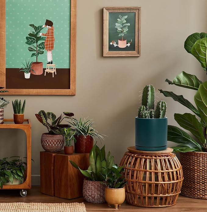 D'vine Dev 8 Inch Ceramic Planter Pot, Teal, 94-O-D-9 | Modern Cylinder Design, Drainage Hole & Saucer Included, Stable Structure, Elegant Home Accent