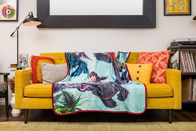 Silver Buffalo How to Train Your Dragon, Fleece Throw Blanket, 45x60in | Plush, Hiccup and Night Fury