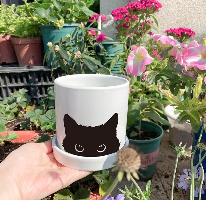 4.3 inch Small Black Cat Flower Pot，Cute Plant Pot with Cat