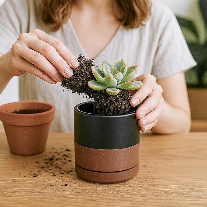 D'vine Dev 3.5 Inch Ceramic Planter Pot, Black/Tan, 94-O-A-7 | Modern Cylinder Design, Drainage Hole & Saucer Included, Stable Structure, Elegant Home Accent