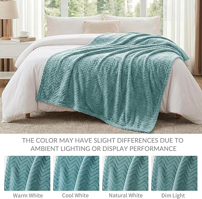 Exclusivo Mezcla Soft Fleece Blanket Queen Size for Bed, Sofa, Celadon | 90"x90" Breathable Lightweight Flannel Blanket for Summer, Plush Cozy Jacquard Wave for Home Decor