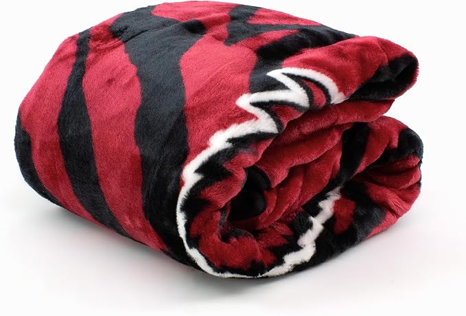 College Covers Arkansas Razorbacks Raschel Throw Blanket, 60 in by 50 in