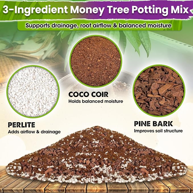 DUSPRO Money Tree Soil Indoor, 3-in-1 Pre-Mixed & Ready to Use, 4 Quarts