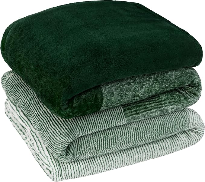 PAVILIA Green Ombre Fleece Throw Blanket for Couch Sofa Bed, 50x60