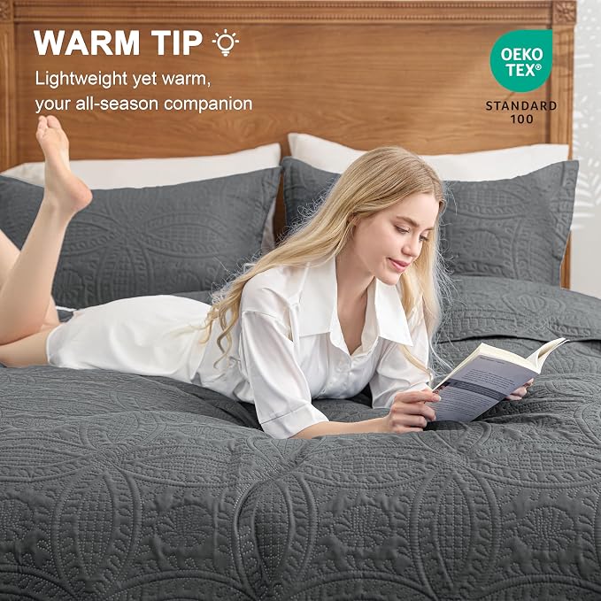 Love's cabin King Size Quilt Bedding Set Dark Grey Bedspreads - Bed Lightweight Bedspread Comforter - Coin Pattern Bedding Coverlet for All Season - 3 Pieces (1 Quilt, 2 Pillow Shams)