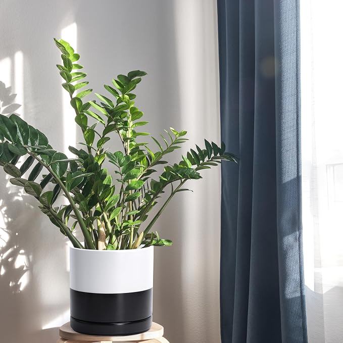 D'vine Dev 8.2 Inch Ceramic Planter Pot, Black White Two Tone, 94-O-D-L | Modern Cylinder Design, Drainage Hole & Saucer Included, Stable Structure, Elegant Home Accent