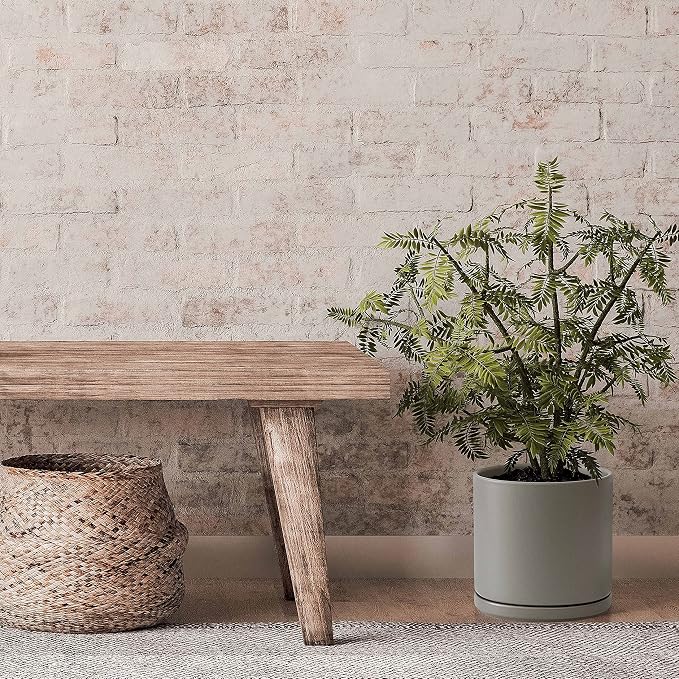 D'vine Dev 10 Inch Ceramic Planter Pot, Grey, 94-O-E-3 | Modern Cylinder Design, Drainage Hole & Saucer Included, Stable Structure, Elegant Home Accent