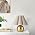 Gold Small Bedside Table Lamp for Bedroom, Brass Gold Bedroom Lamps for Nightstand, Cute Mini Table Lamps for Small Spaces with Scalloped Shade for Kitchen Counter, Bookshelf, Living Room, Kids Dorm