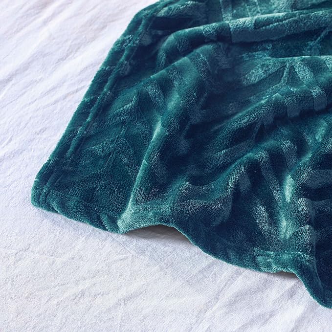 Whale Flotilla Flannel Fleece Bed Blanket Queen Size, Teal | Lightweight Breathable Soft Bedspread, Plush Fluffy Coverlet Chevron Design Decorative Blanket for All Season, 90x90 Inch